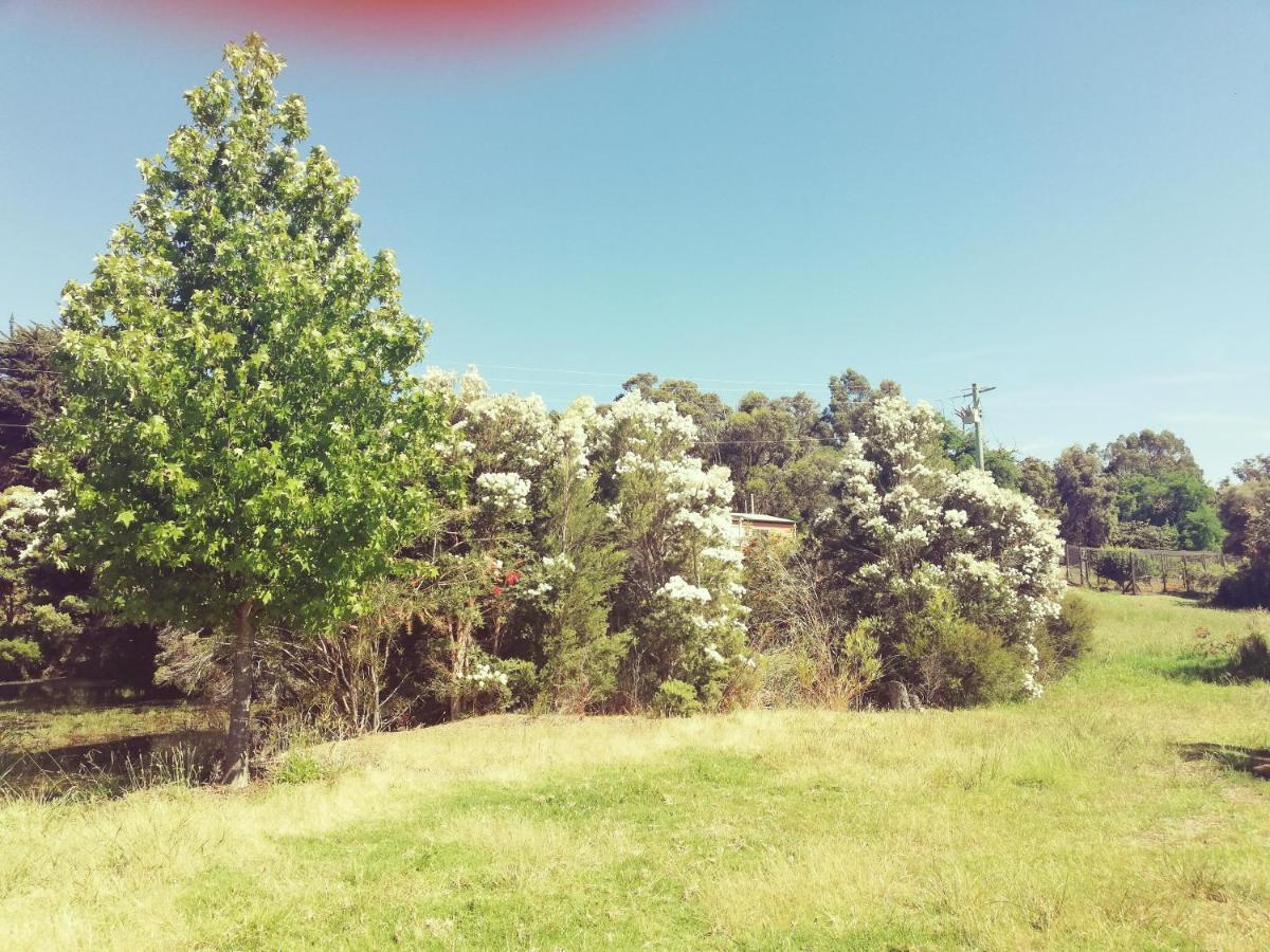 Woodlands Of Balingup Bush Cottages Εξωτερικό φωτογραφία