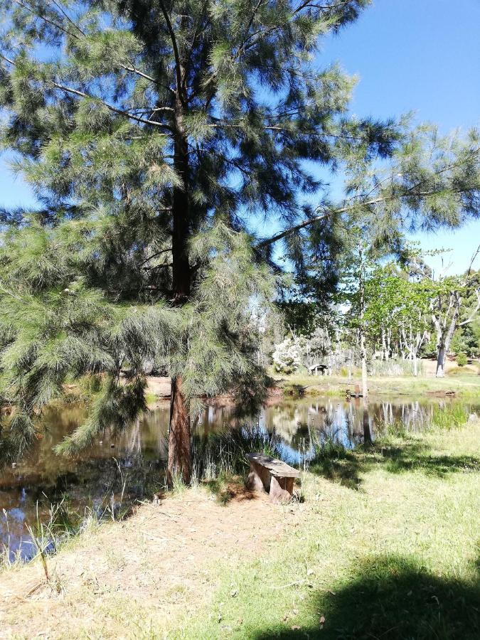 Woodlands Of Balingup Bush Cottages Εξωτερικό φωτογραφία